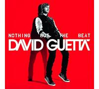 Nothing But the Beat