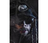 Nothing’s What it Seems (The “Nothing” Trilogy)