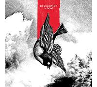 Nothington - In the End [VINYL] [Vinilo]