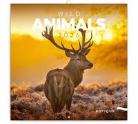NOTIQUE Calendario de pared 2026 Animales salvajes, calendario mensual en folleto, diseño estético 30 x 30 cm (abierto 30x60)