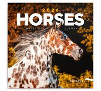 NOTIQUE Calendario de pared 2026 Caballos, calendario mensual en folleto, diseño estético 30 x 30 cm (abierto 30x60)