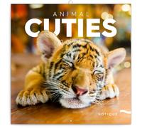 NOTIQUE Calendario de pared 2026 Crías de animales, calendario mensual en folleto, diseño estético 30 x 30 cm (abierto 30x60)