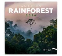 NOTIQUE Calendario de pared 2026 Selvas tropicales, calendario mensual en folleto, diseño estético 30 x 30 cm (abierto 30x60)