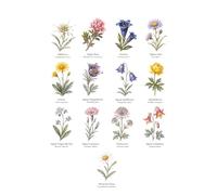 Notizbuch Alpenblumen A5 liniert: Für Gedanken, Skizzen und Erinnerungen zwischen Edelweiß und Alpenrose