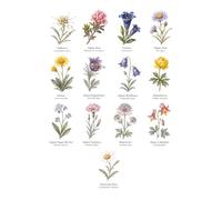 Notizbuch Alpenblumen A5 liniert: Für Gedanken, Skizzen und Erinnerungen zwischen Edelweiß und Alpenrose