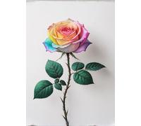 Notizbuch mit Regenbogen-Rose: A5, Softcover, 240 Blanko-Seiten, Glänzend