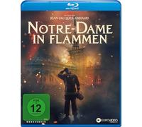 Notre-Dame in Flammen [Alemania] [Blu-ray]