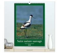 Notre nature sauvage, oiseaux aquatiques d'Europe (Calendrier mural 2026 DIN A2 horizontal) calendrier de bureau: Oiseaux que l'on peut découvrir en Europe