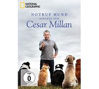 Notruf Hund - Einsatz für Cesar Millan - National Geographic/Staffel 1 [Alemania] [DVD]
