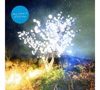 Notwist,the - Vertigo Days (2LP) [Vinilo]