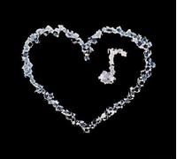 Nouve,the - The Last Goodbye is Not Always [Import]