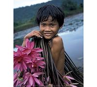 NOUVELLES IMAGES Nuevas imagesaffiche 24 x 30 cm niño Camboya récoltant de los nenúfares/Cambodian Boy harvesting Water Lilies/kambodschanisches Kind pflückt Seerosen