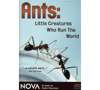 Nova: Ants, Little Creatures Who Run the World [USA] [DVD]