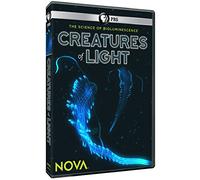 Nova: Creatures of Light [USA] [DVD]