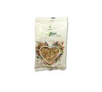 Nova Diet Angélica Hierba Raiz 40 g