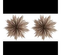 Nova Estrella de Papel 50 Gris Cálido Set de 2