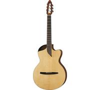 NOVA Guitars Revelator w/PU