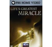 Nova: Life's Greatest Miracle [Reino Unido] [DVD]