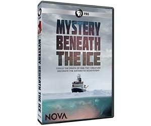 Nova: Mystery Beneath the Ice [USA] [DVD]