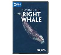 NOVA: Saving The Right Whale [USA] [DVD]