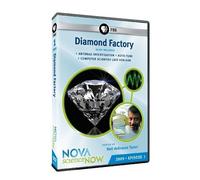 Nova: Science Now 2009 - Episode 1 - Diamond Facto [Edizione: Stati Uniti] [USA] [DVD]