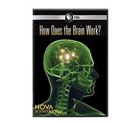 Nova Science Now: How Does The Brain Work [Edizione: Stati Uniti] [USA] [DVD]