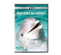 Nova Science Now: How Smart Are Animals? [USA] [DVD]