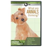 Nova Science Now: What Are Animals Thinking? [USA] [DVD]