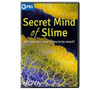 NOVA: Secret Mind of Slime [USA] [DVD]