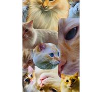 Nova the Cat Journal - Lined Notebook with Paw Print Detail