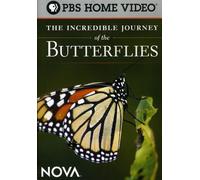 The Incredible Journey of the Butterflies [USA] [DVD]