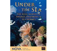 Nova: Under the Sea - Real World of Sharks Dolphin [Reino Unido] [DVD]