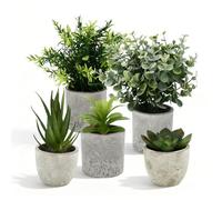 Novaridor Set de 5 Planta Artificial Pequeña, Plantas Artificiales Decorativas, Plantas de Plástico Pequeñas para Salón, Dormitorio u Oficina, Decoracion Baño Moderna, Elegante