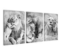 Novart Set de Decoración de Pared con Cuadros Leones de África Cuadro - LISTO PARA COLGAR - No Necesita Marco - Dormitorio Salón Cocina - N036236b