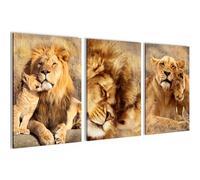 Novart Set de Decoración de Pared con Cuadros Leones de África Cuadro - LISTO PARA COLGAR - No Necesita Marco - Dormitorio Salón Cocina - N036236a