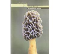 Nove ducias de cogomelos de Ourense : os cento oito cogomelos masi frecuentes e curiosos ne provincia : historia da macrobioloxía de Ourense