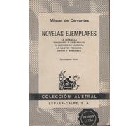 Novelas Ejemplares 1