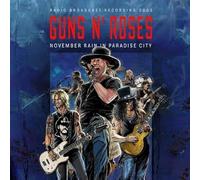 November Rain In Paradise City [Vinilo]