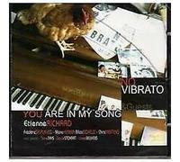 novibrato - you are in my song