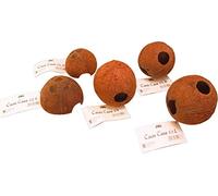 Novopet Cocos Java 1/1 L 3 Unidades 100 ml