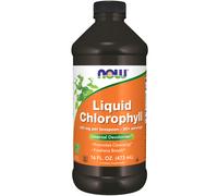 now - clorofila líquida super concentrada, 473ml