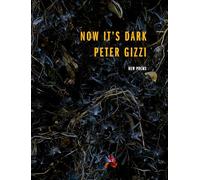 Now It's Dark (Wesleyan Poetry Series)