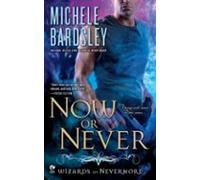 Now Or Never (ebook)