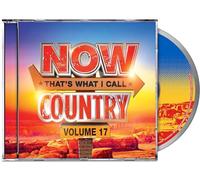 Now That's What I Call Country, Vol.17 (CD)