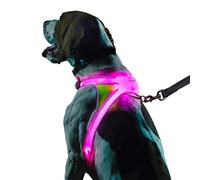 Noxgear LightHound - Revolucionario arnés iluminado y reflectante para perros, incluye fibra óptica LED multicolor (recargable por USB, ajustable, ligero, resistente a la lluvia) (XL)