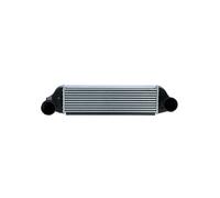 Intercooler 30975 NRF para BMW X3