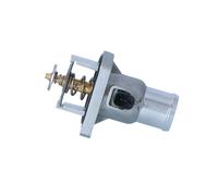 NRF 725033 Termostato, refrigerante