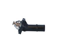 NRF 725202 Termostato, refrigerante