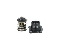 NRF 725398 Termostato, refrigerante