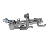 NRF 48311 Modulo EGR